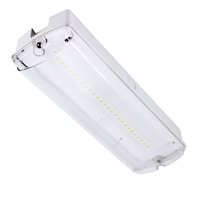 ELD Lighting LED Emergency Bulkhead 3hr Maintained EM-LED-BH1D