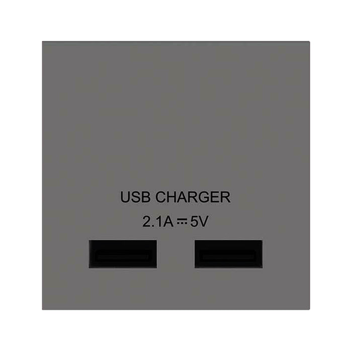 BG Nexus Grey EMUSBG Dual 2 Gang USB Charger (2A) Euro Module Socket